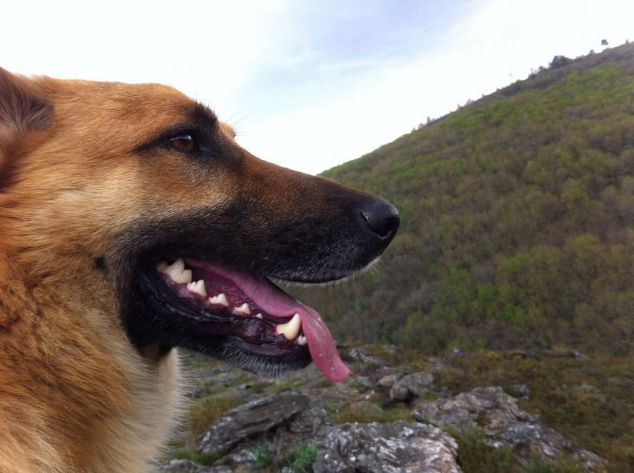 Paco Agulló profile picture