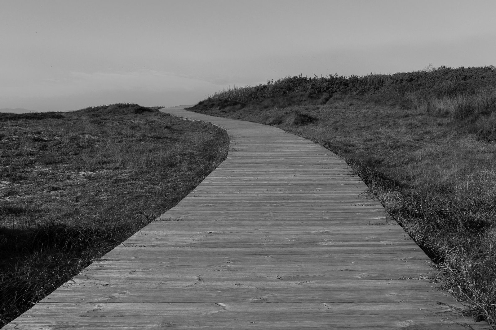 RuniRamos Cover Image