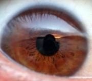 RichBichVene RichBichVene