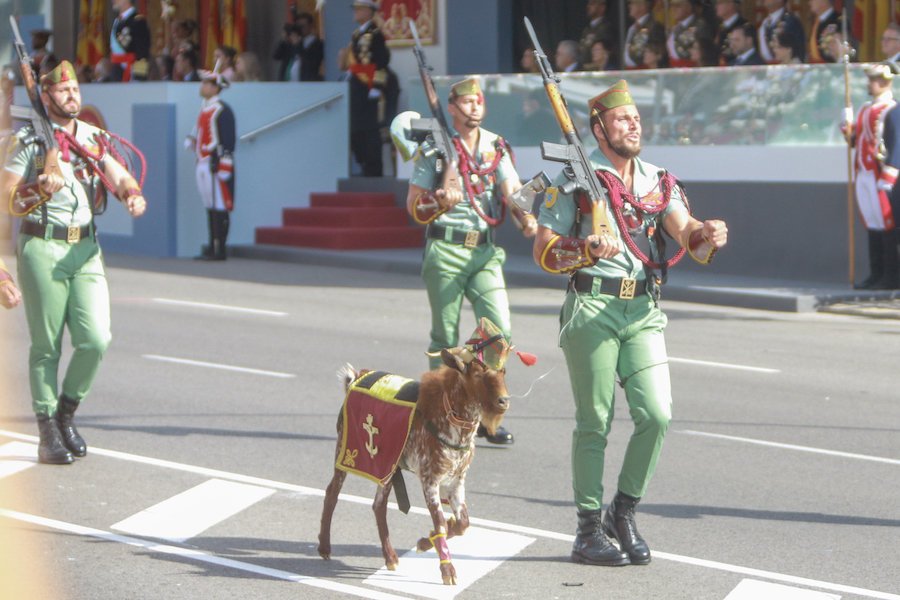 España gastou 900.000 euros no desfile militar de 12 de outubro - INTERNACIONAL - Nós Diario - Diario de intereses galegos