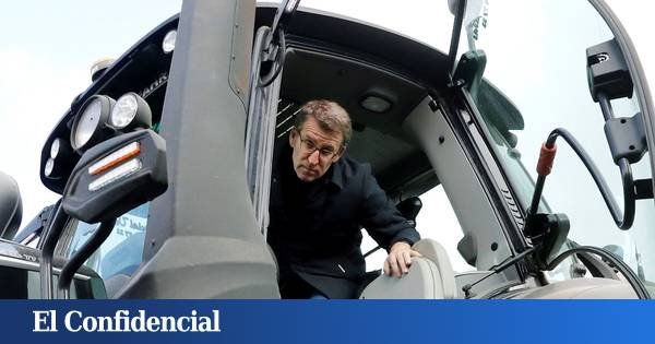 Feijóo retiene la mayoría sin necesitar a Vox y el BNG disputa al PSOE la segunda plaza