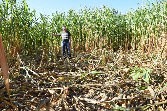 Sorpresa en gandeiros e agricultores polas chamadas da Xunta a poucos días das eleccións - Campo Galego