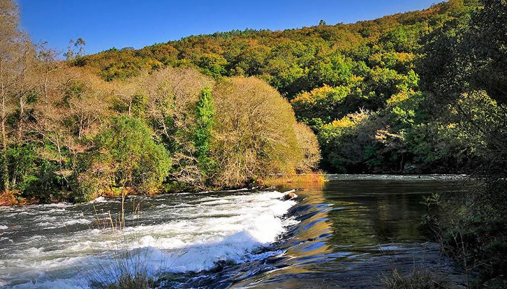 Eléctricas e eucaliptos ameazan no Xallas o bosque atlántico máis occidental de Europa