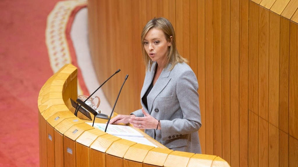 O PP rexeita levar á cámara os expedientes das residencias