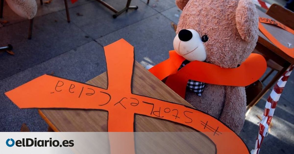 Familias de la concertada reniegan de la campaña contra la Ley Celaá: "Usaron a mi hija en uno de sus vídeos políticos"