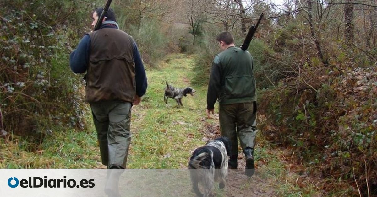 La Xunta abre un frente contra la prohibición de la caza del lobo y pone a sus servicios jurídicos a analizar la decisión