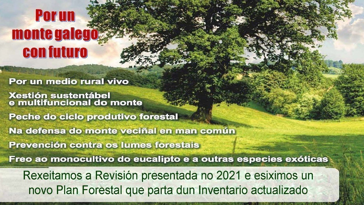 Petition · Anulación da Revisión do Plano Forestal que a Xunta prevé aprobar no 1º trimestre 2021 · Change.org