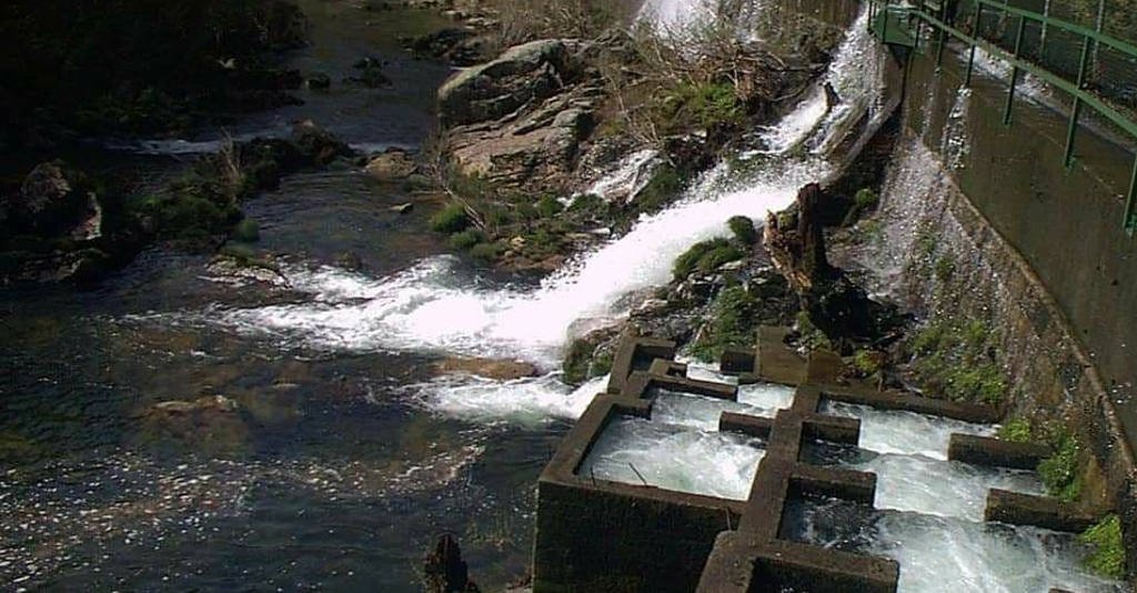 Ambientalistas acusan a Xunta de