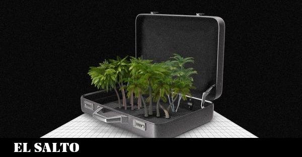 Evasión fiscal | Los Pandora Papers no son un escándalo, son un sistema - El Salto - Edición General