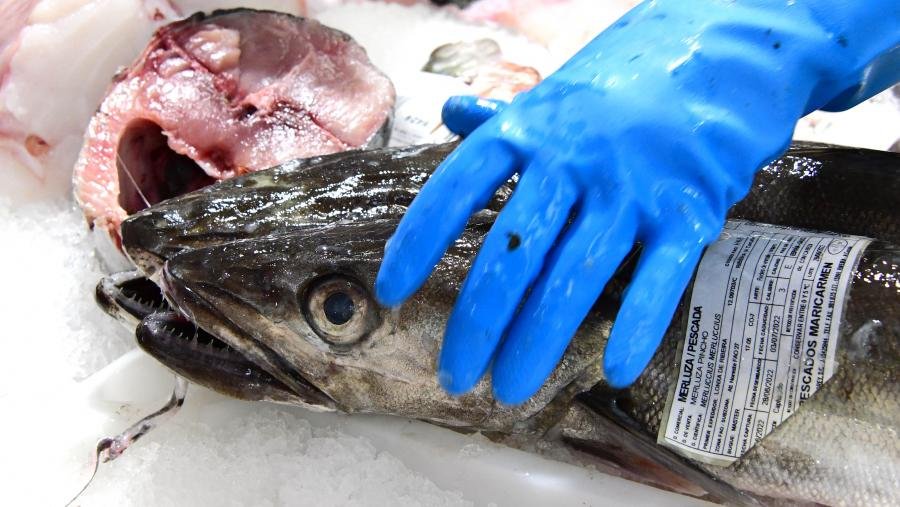Menos do 10% da pescada que se consome en España procede de zonas nacionais