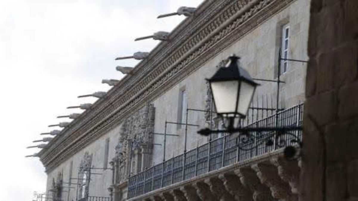 Apatrigal, sobre a intervención nas gárgolas do Obradoiro: "Unha actuación que a cidadanía percibe como impropia"